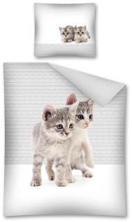 Povlečení Sweet Animals Koťata 140x200, 70x80 cm